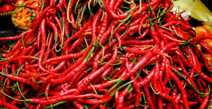 product name