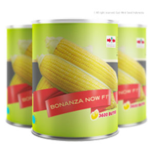 product name