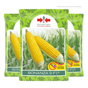 product name