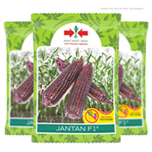 product name