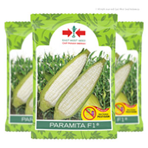 product name