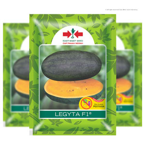 product name
