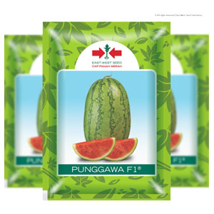 product name